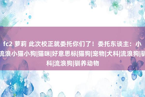 fc2 萝莉 此次校正就委托你们了！委托东谈主：小院举座流浪小猫小狗|猫咪|好意思标|猫狗|宠物|犬科|流浪狗|驯养动物