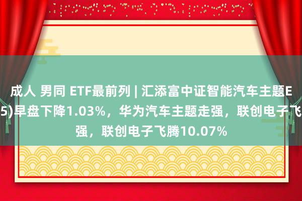 成人 男同 ETF最前列 | 汇添富中证智能汽车主题ETF(159795)早盘下降1.03%，华为汽车主题走强，联创电子飞腾10.07%