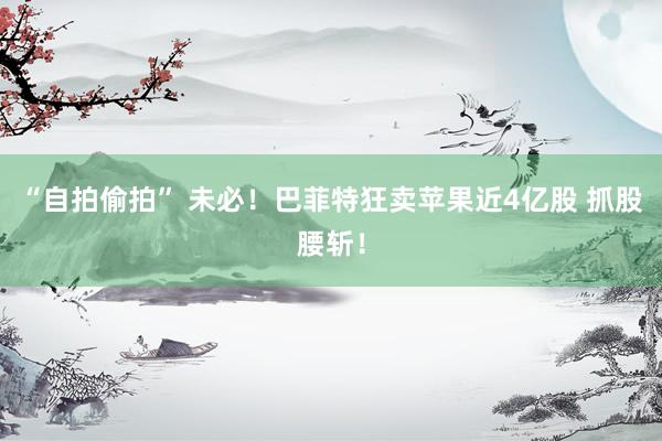 “自拍偷拍” 未必！巴菲特狂卖苹果近4亿股 抓股腰斩！