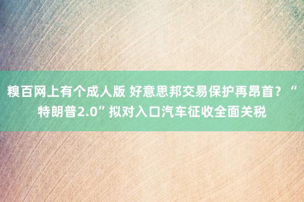糗百网上有个成人版 好意思邦交易保护再昂首？“特朗普2.0”拟对入口汽车征收全面关税