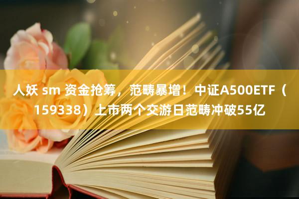 人妖 sm 资金抢筹，范畴暴增！中证A500ETF（159338）上市两个交游日范畴冲破55亿