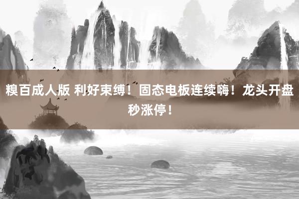 糗百成人版 利好束缚！固态电板连续嗨！龙头开盘秒涨停！