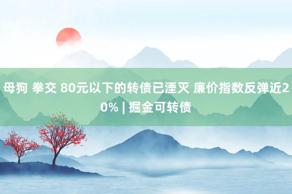 母狗 拳交 80元以下的转债已湮灭 廉价指数反弹近20% | 掘金可转债