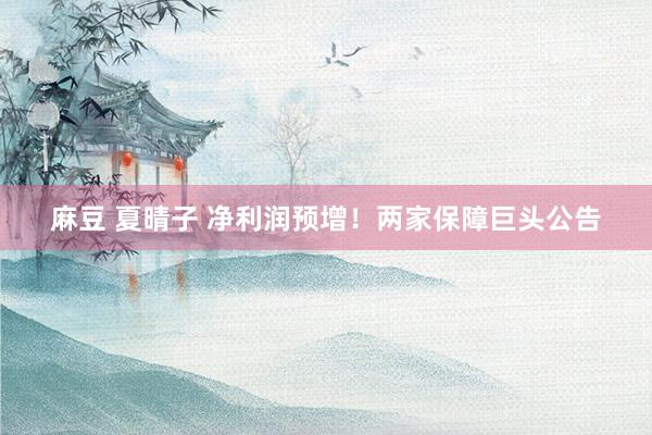 麻豆 夏晴子 净利润预增！两家保障巨头公告
