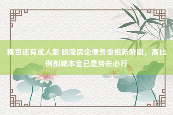 糗百还有成人版 脱险房企债务重组新阶段，高比例削减本金已是势在必行