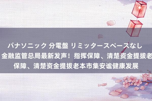 パナソニック 分電盤 リミッタースペースなし 露出・半埋込両用形 金融监管总局最新发声！指挥保障、清楚资金提拔老本市集安谧健康发展