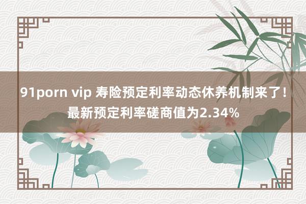 91porn vip 寿险预定利率动态休养机制来了！最新预定利率磋商值为2.34%